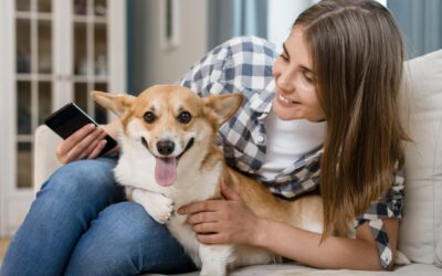Ley 7/2023: cursos obligatorios para los dueños de perros y más derechos para los animales